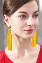 Load image into Gallery viewer, Beaded Tassel Earrings