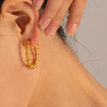 Load image into Gallery viewer, Gold-Plated Stainless Steel Hoop Earrings