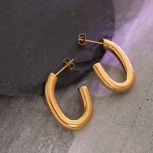 Load image into Gallery viewer, Titanium Steel Gold-Plated Earrings