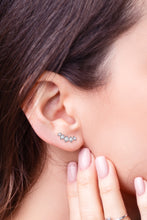 Load image into Gallery viewer, All You Need Moissanite Platinum-Plated Earrings