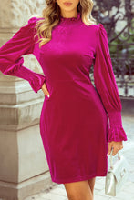 Load image into Gallery viewer, Frill Mock Neck Flounce Sleeve Mini Dress
