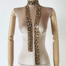 Load image into Gallery viewer, dd478e83-911d-45cd-ab7f-eefff3b109ba-Max-Origin
