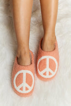 Load image into Gallery viewer, Melody Printed Plush Slide Slippers
